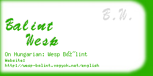 balint wesp business card